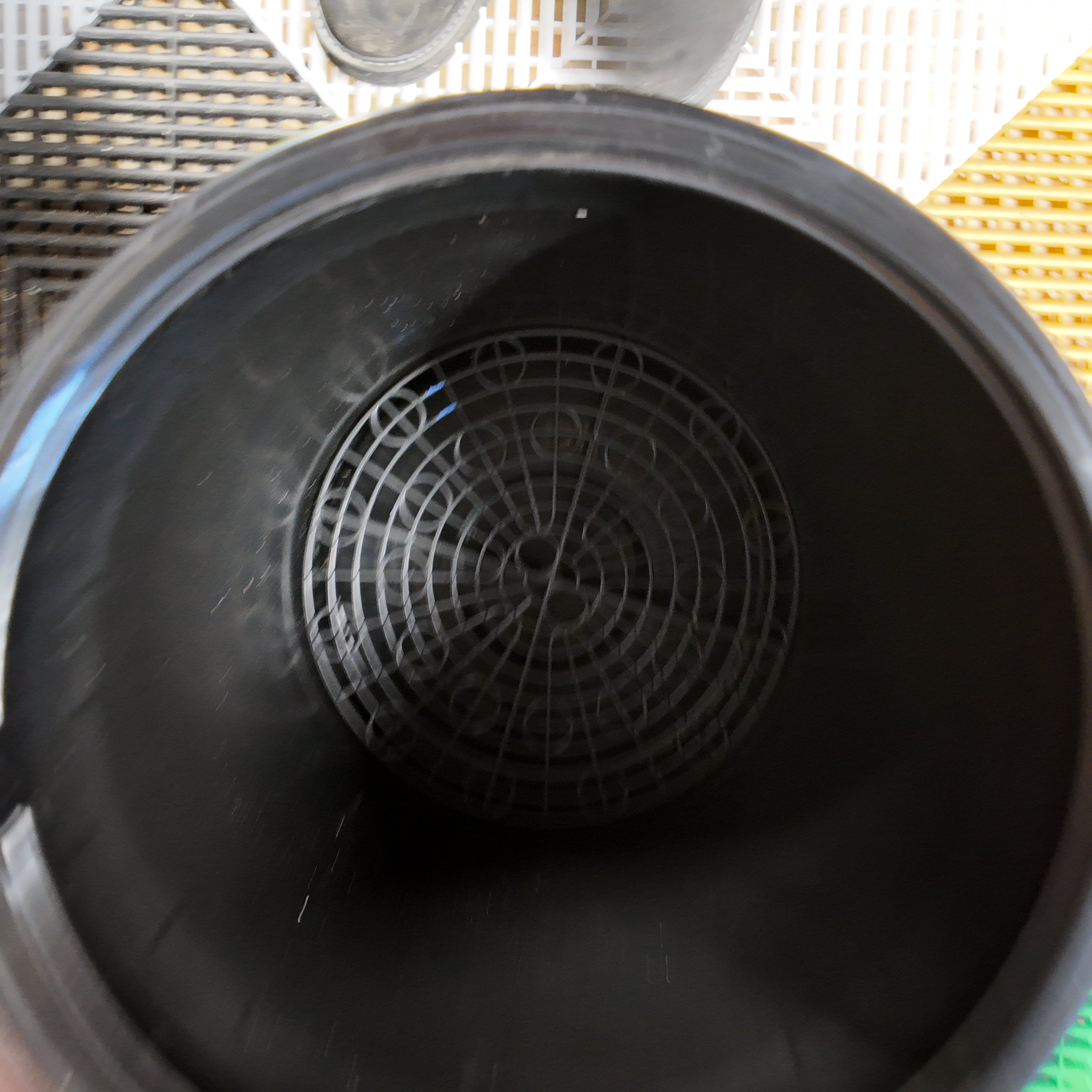 Spann v. loki & Grit Guard