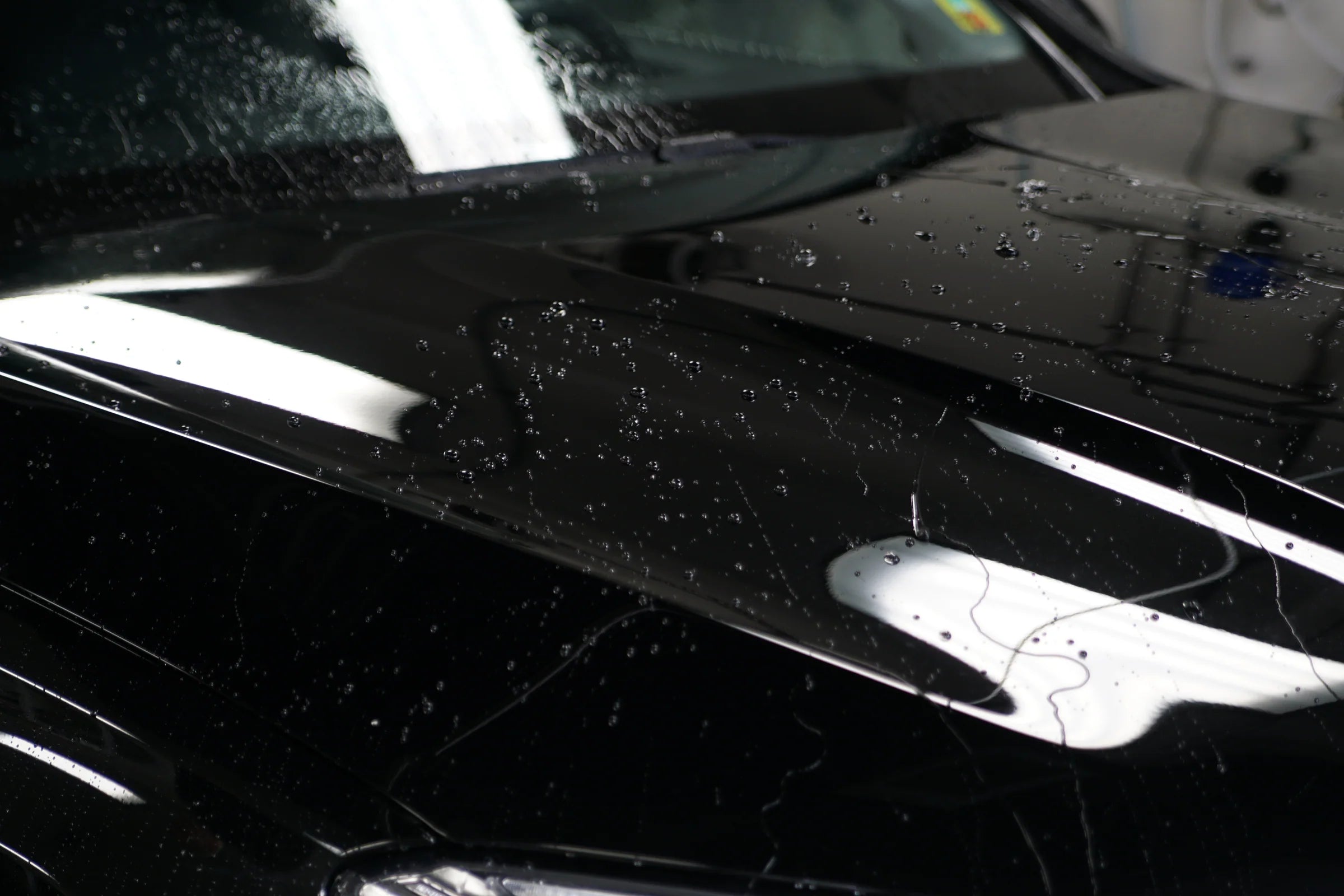 WetGloss