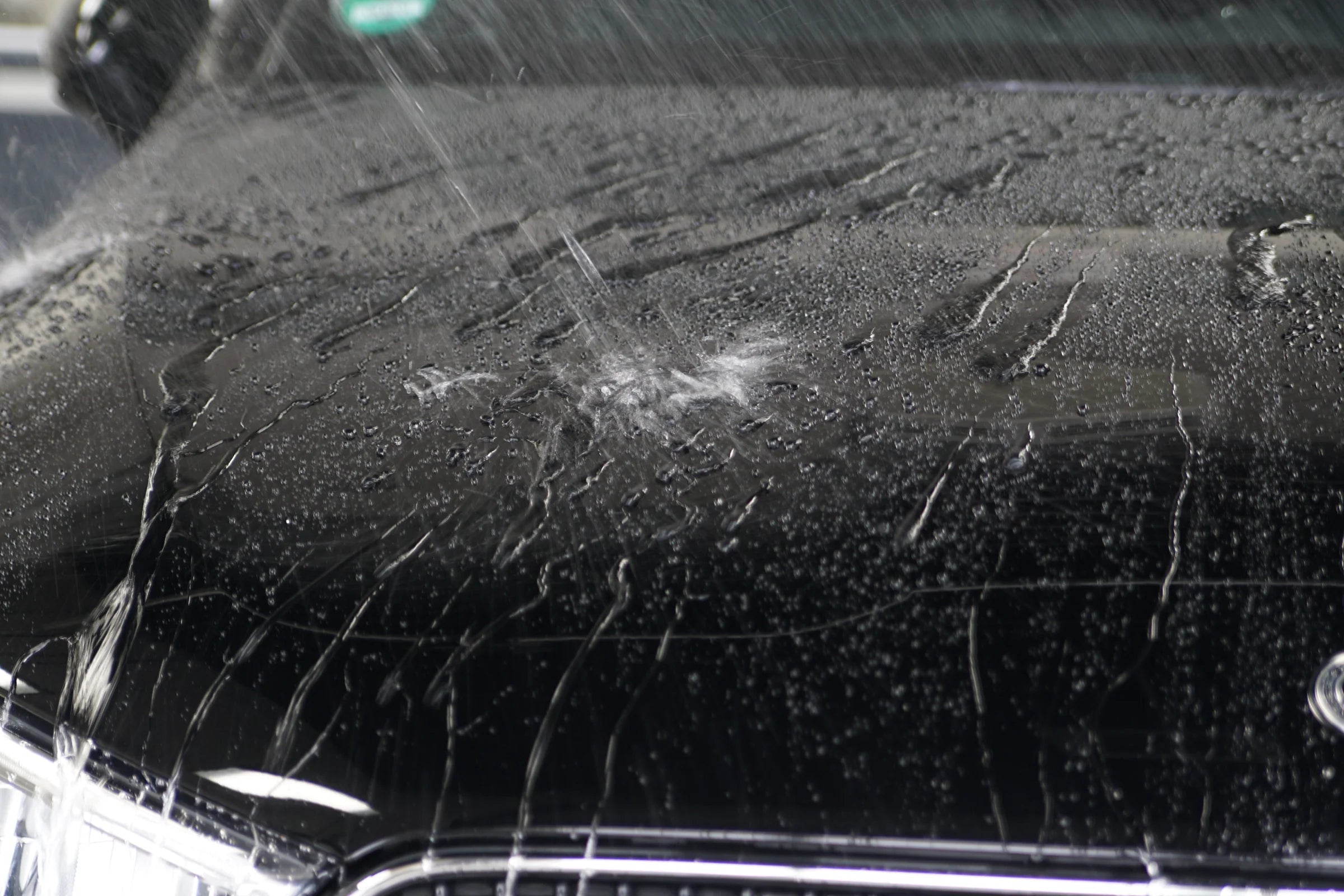 WetGloss